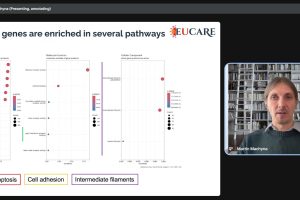 Immagine 2025-10-29 095559